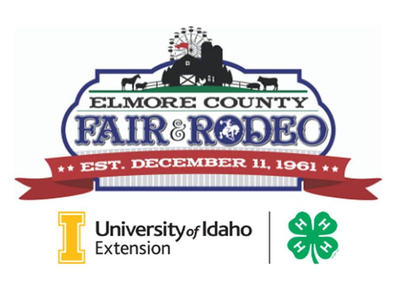 Fair Logo