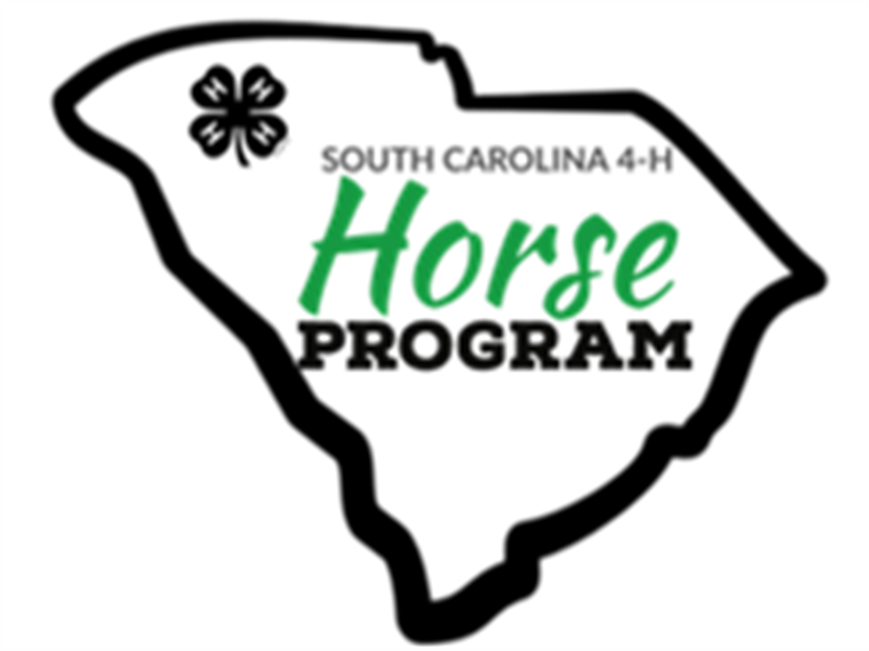 Results 2024 South Carolina 4H Horse Show